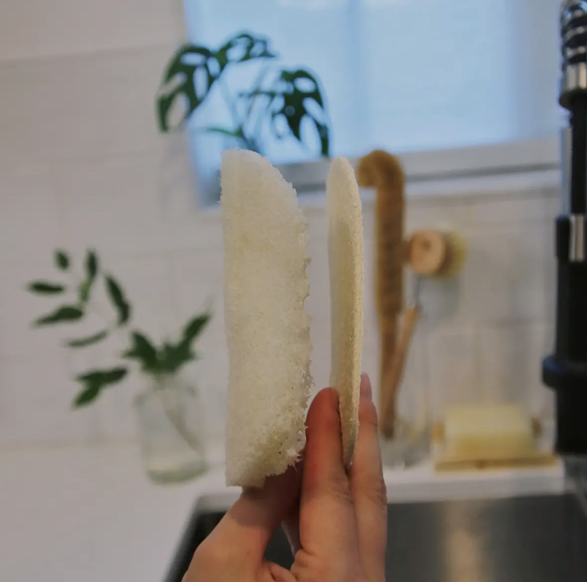 Loofah Dish Sponge - 3 Pack