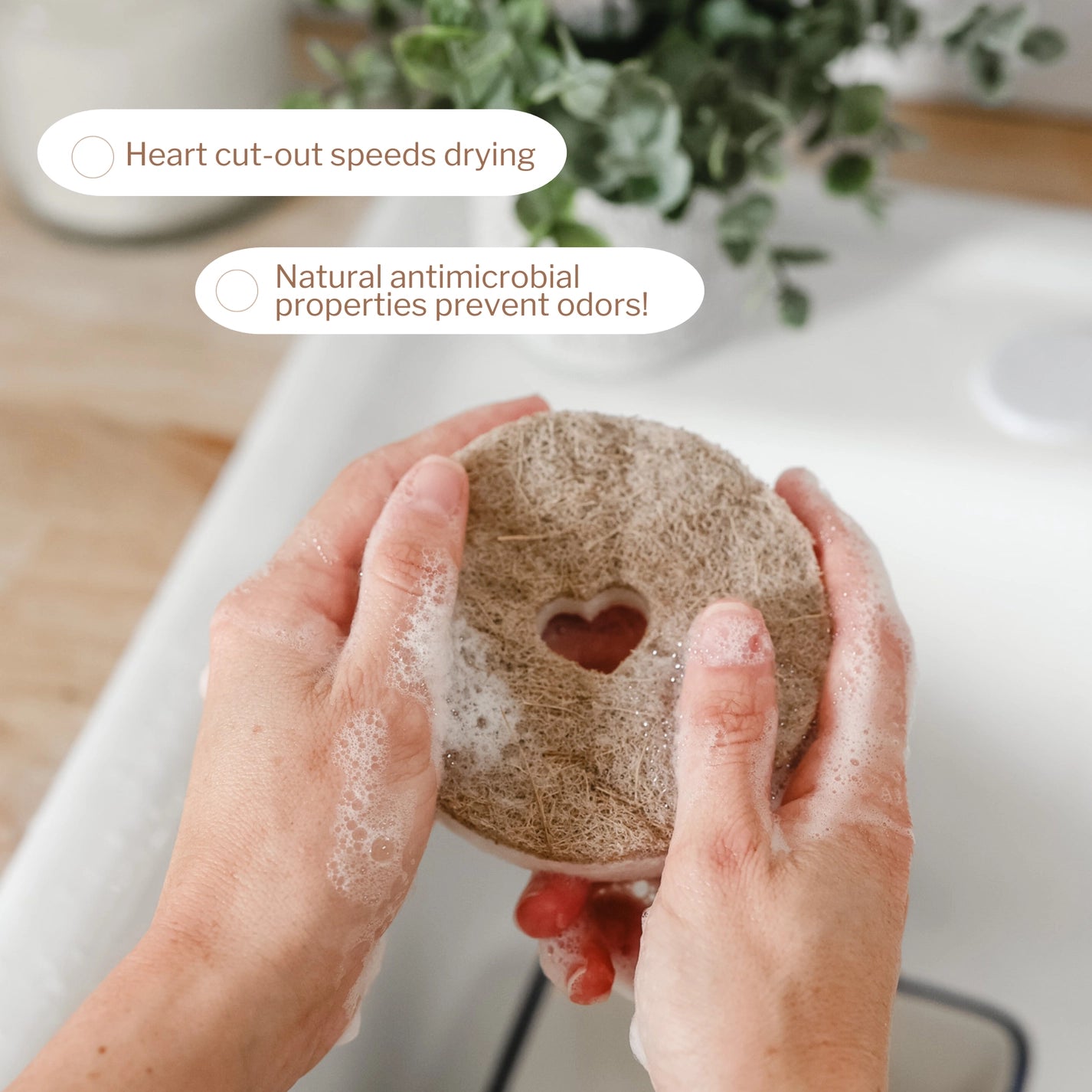 Round Heart Cut-Out Kitchen Dish Sponge