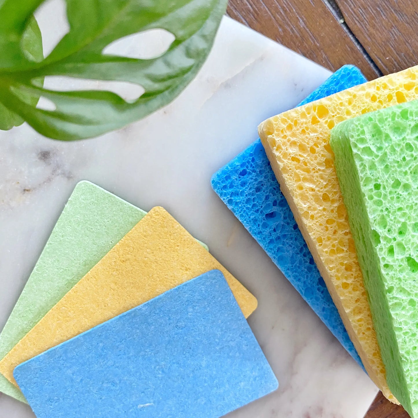 Compostable Cellulose Sponge