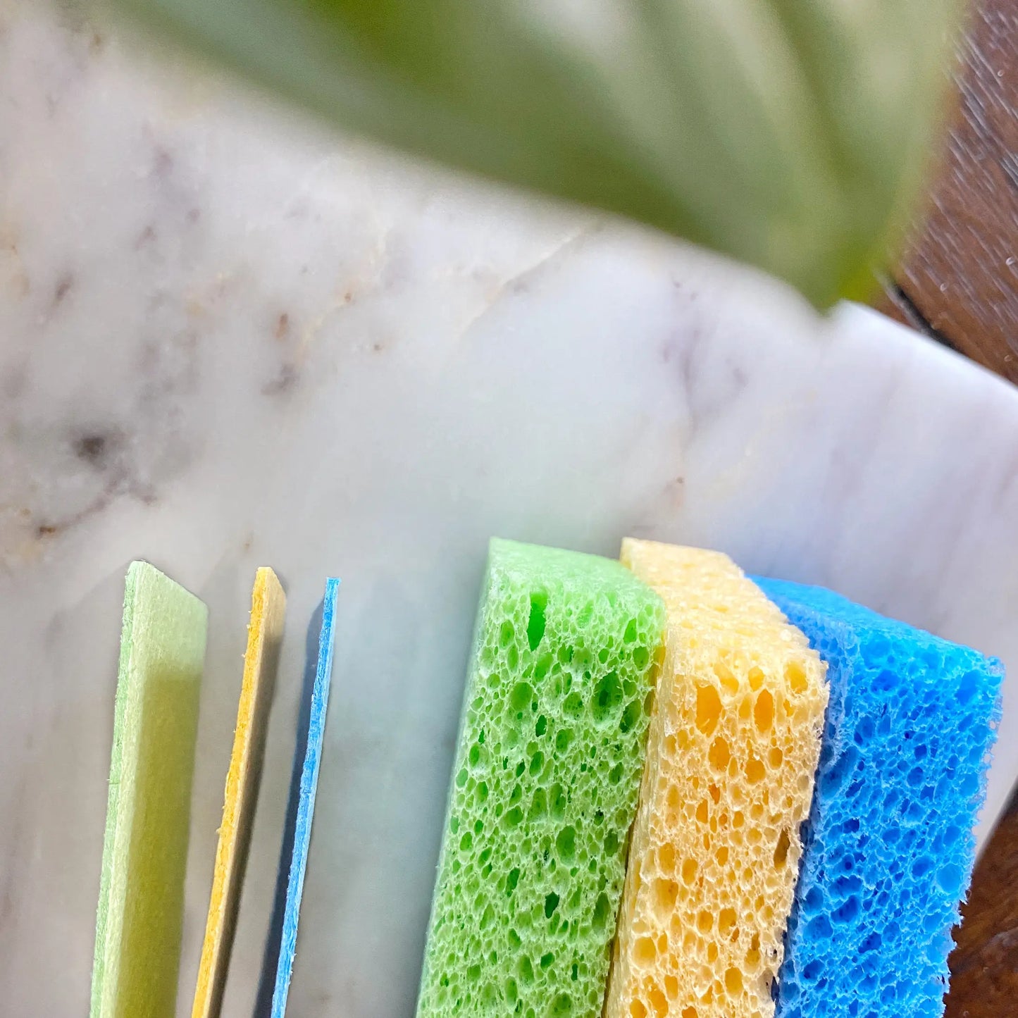 Compostable Cellulose Sponge