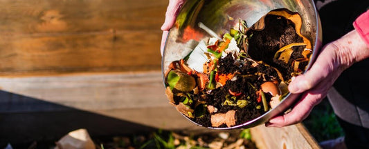 Going back to the basics - composting in a small footprint