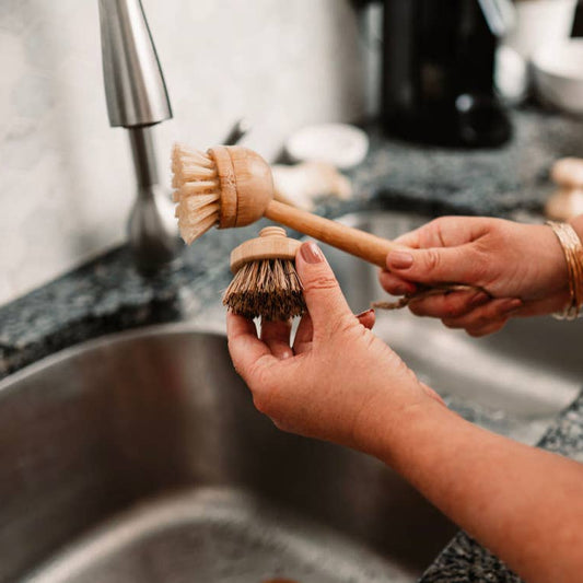 Palm Fibre Refill Head for Dish Brush