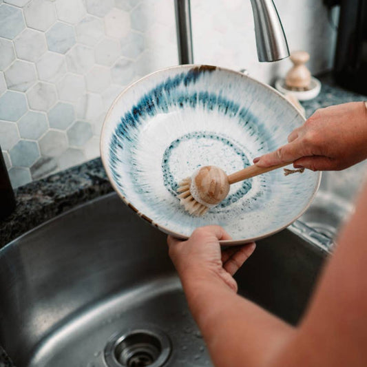 Bamboo Long Handle Dish Brush