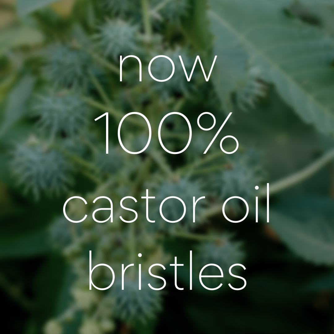 Toothbrush with Medium Castor Oil Bristles