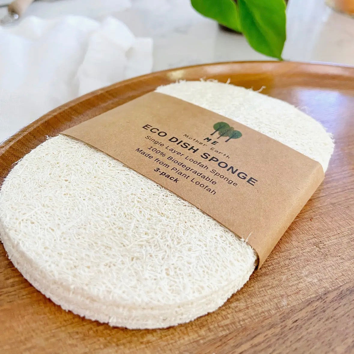 Eco Dish Sponge - 3 pack