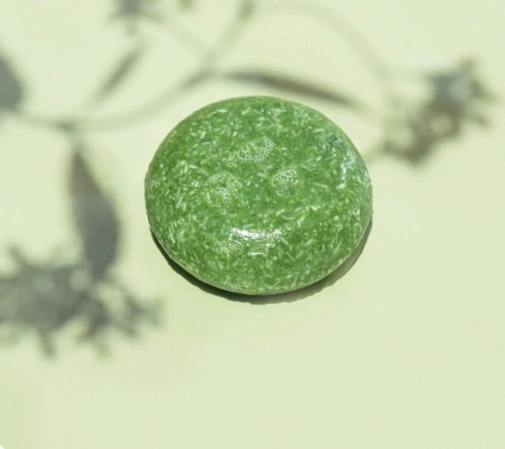 Shampoo Bar