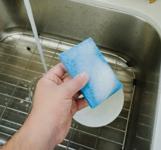 Compostable Cellulose Sponge