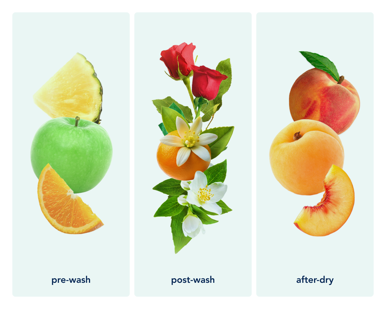 Zero Waste Laundry Detergent Sheets (Ocean Breeze)